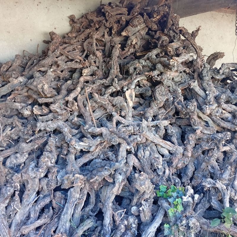 Bois de chauffage – Ceps de vigne, sarments, chutes & buchettes – 13 tonnes environ