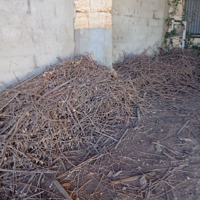 Bois de chauffage – Ceps de vigne, sarments, chutes & buchettes – 13 tonnes environ