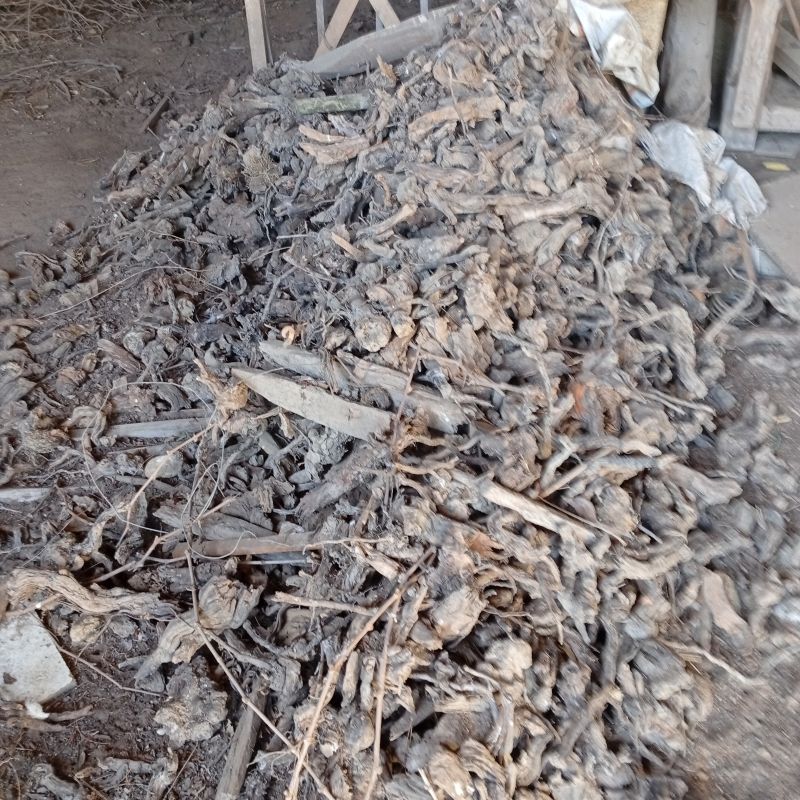 Bois de chauffage – Ceps de vigne, sarments, chutes & buchettes – 13 tonnes environ