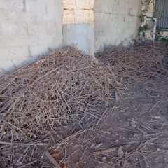 Bois de chauffage – Ceps de vigne, sarments, chutes & buchettes – 13 tonnes environ