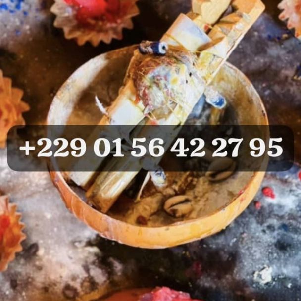 Retour affectif rapide en 24 h +229 01 56 42 27 95 - Solive - Parisot (81310) - Domaine : Autres