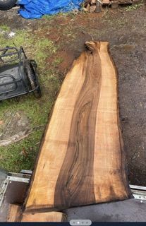 plateau de noyer - Orme - Bordeaux (33000) - Domaine : Menuiserie