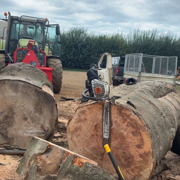 Vente bois chauffage sec - Hêtre - Bayeux (14400) - Domaine : Chauffage au bois