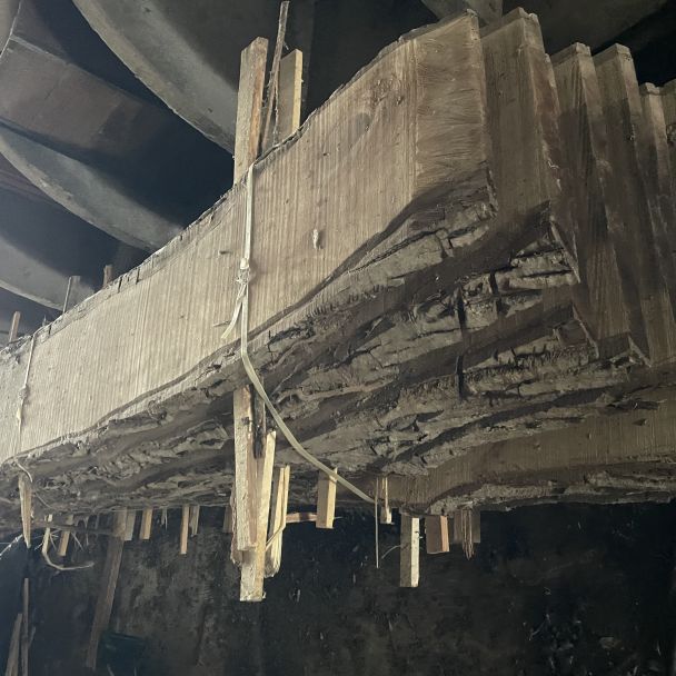 Fûts de noyer chêne frêne - Noyer - Mauzé-sur-le-Mignon (79210) - Domaine : Menuiserie