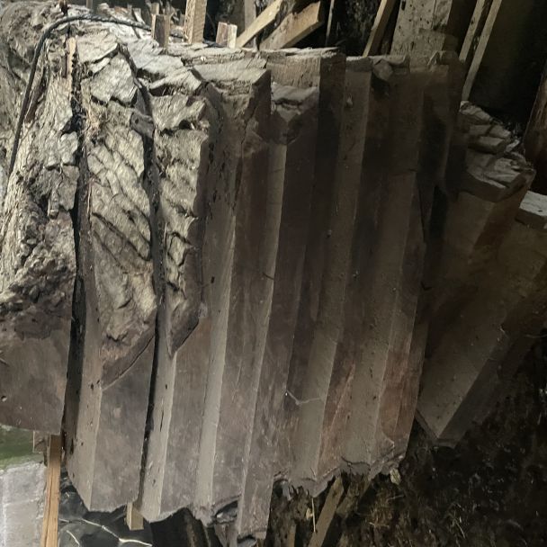 Fûts de noyer chêne frêne - Noyer - Mauzé-sur-le-Mignon (79210) - Domaine : Menuiserie