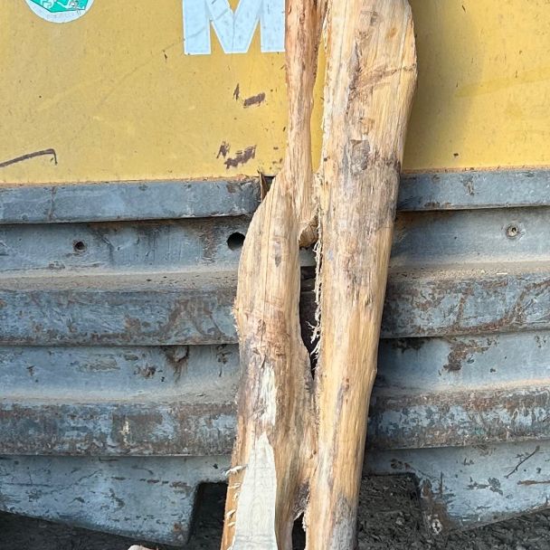 Plateau d’if A4 - If - Gaubertin (45340) - Domaine : Menuiserie