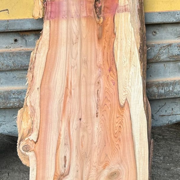 Plateau d’if 6 - If - Gaubertin (45340) - Domaine : Menuiserie