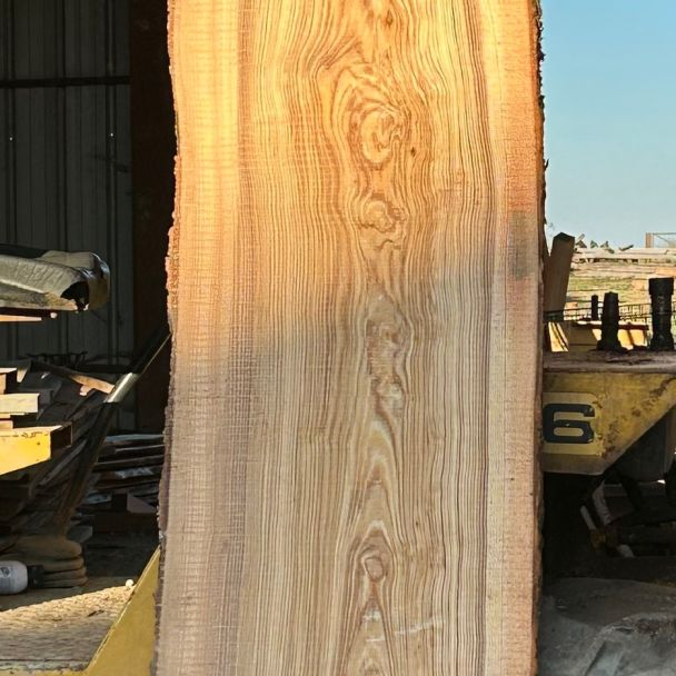 Plateaux de frêne olivier - Frêne - Gaubertin (45340) - Domaine : Menuiserie