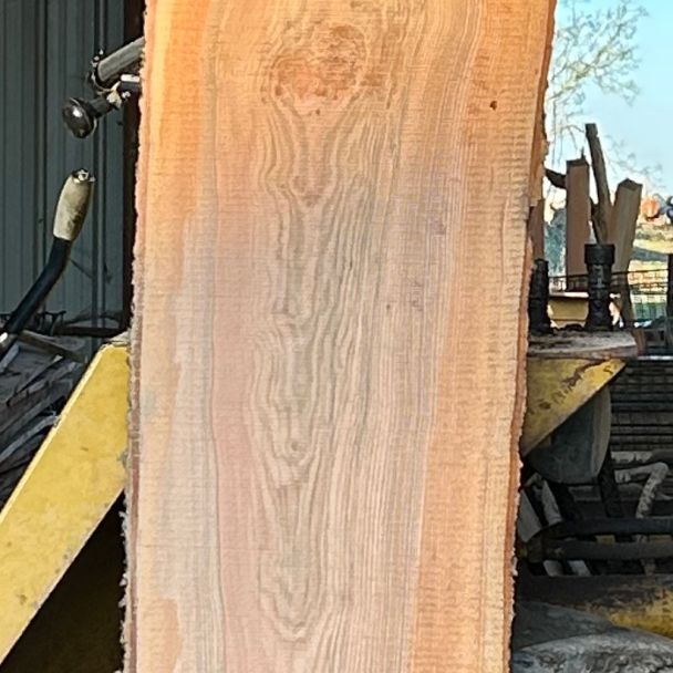 Plateaux de frêne olivier - Frêne - Gaubertin (45340) - Domaine : Menuiserie