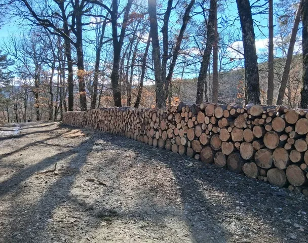 Bois de chauffage - Pin (Sylvestre, maritime, laricio, douglas) - Burgnac (87800) - Domaine : Chauffage au bois