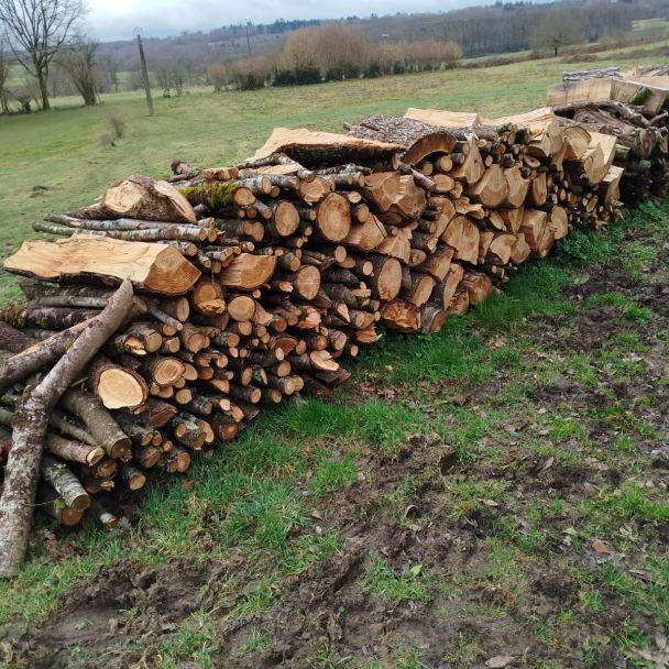 Bois de chauffage - Pin (Sylvestre, maritime, laricio, douglas) - Burgnac (87800) - Domaine : Chauffage au bois