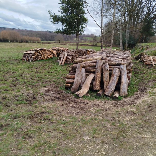 Bois de chauffage - Pin (Sylvestre, maritime, laricio, douglas) - Burgnac (87800) - Domaine : Chauffage au bois