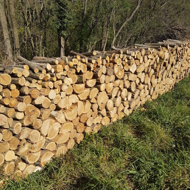 BOIS DE CHAUFFAGE ACACIA SEC longueur 0.50m - Autres - Coulonges-Cohan (02130) - Domaine : Chauffage au bois