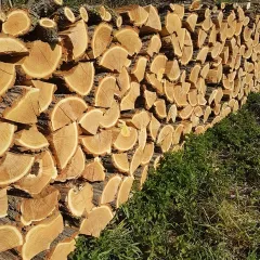 Vente - BOIS DE CHAUFFAGE ACACIA SEC longueur 0.50m - Coulonges-Cohan (02130)