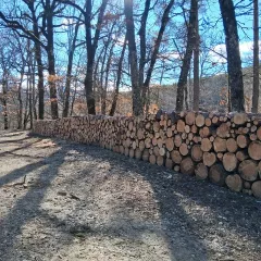Vente - Bois de chauffage - Burgnac (87800)